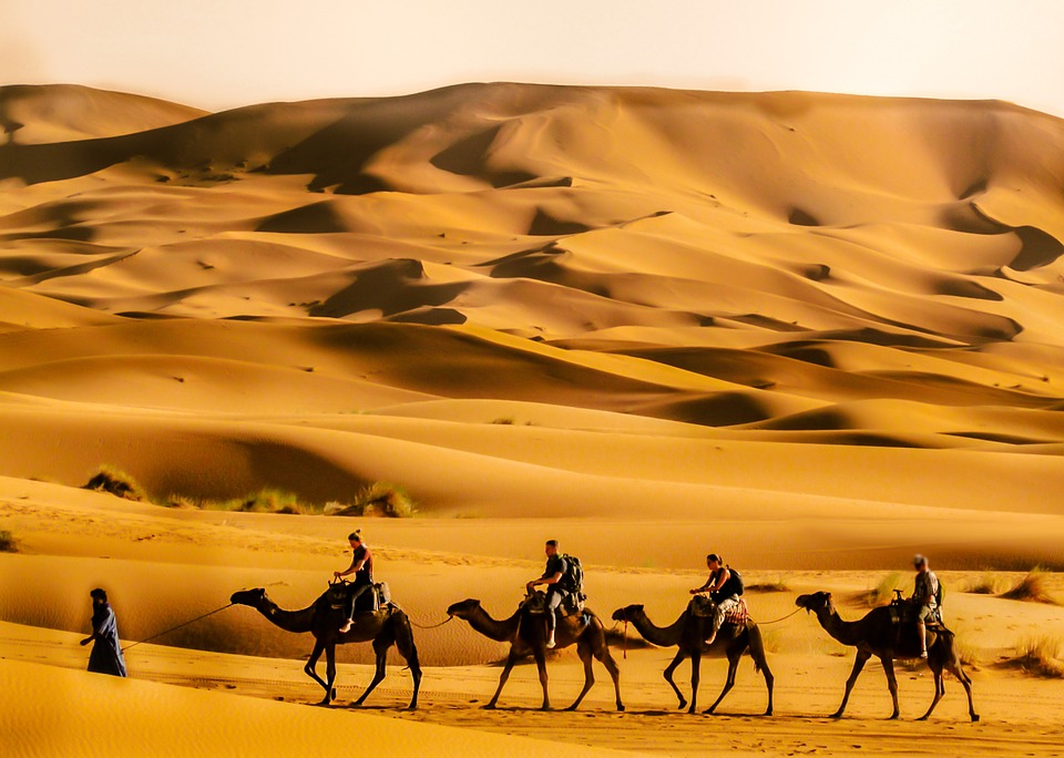 3 DAYS DESERT TOUR FROM FES